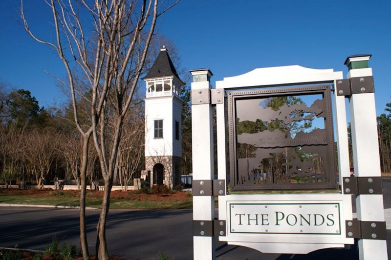 The Ponds - Southern Beauty