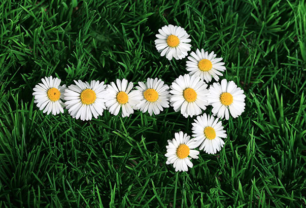 Housing Market Expected to "Spring Forward"