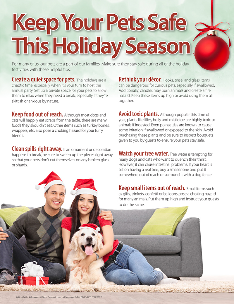 Keep Your Pets Safe This Holiday Season