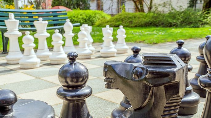 5 Top Landscape Design Trends That'll Take Your Yard to a Whole New Level