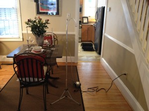Mold Testing