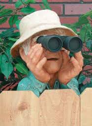 Open Houses: The Nosey Neighbor