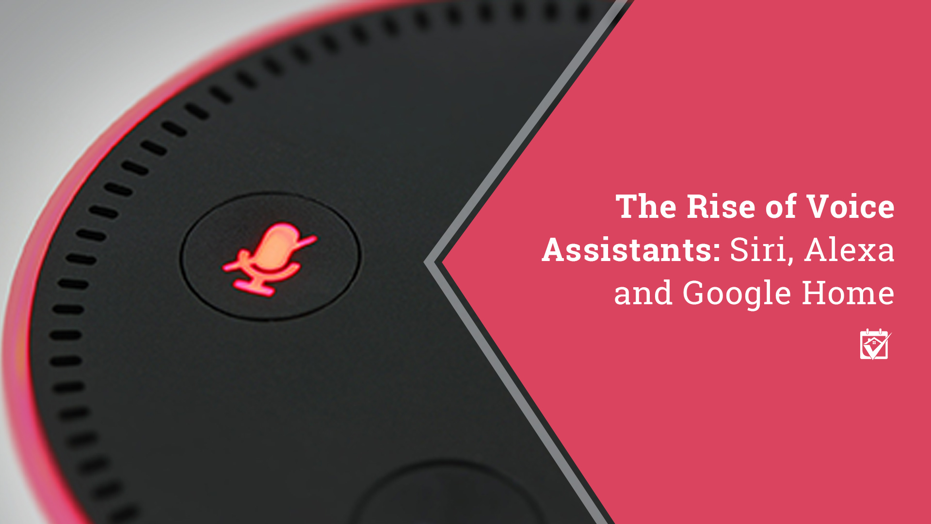 The RISE of Voice Assitants