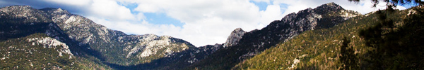 Idyllwild Listings