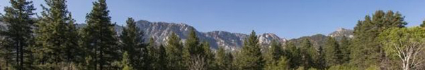 Mountain Center Listings