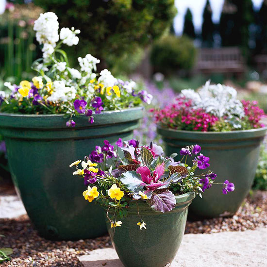 May Gardening Tips for the Midwest