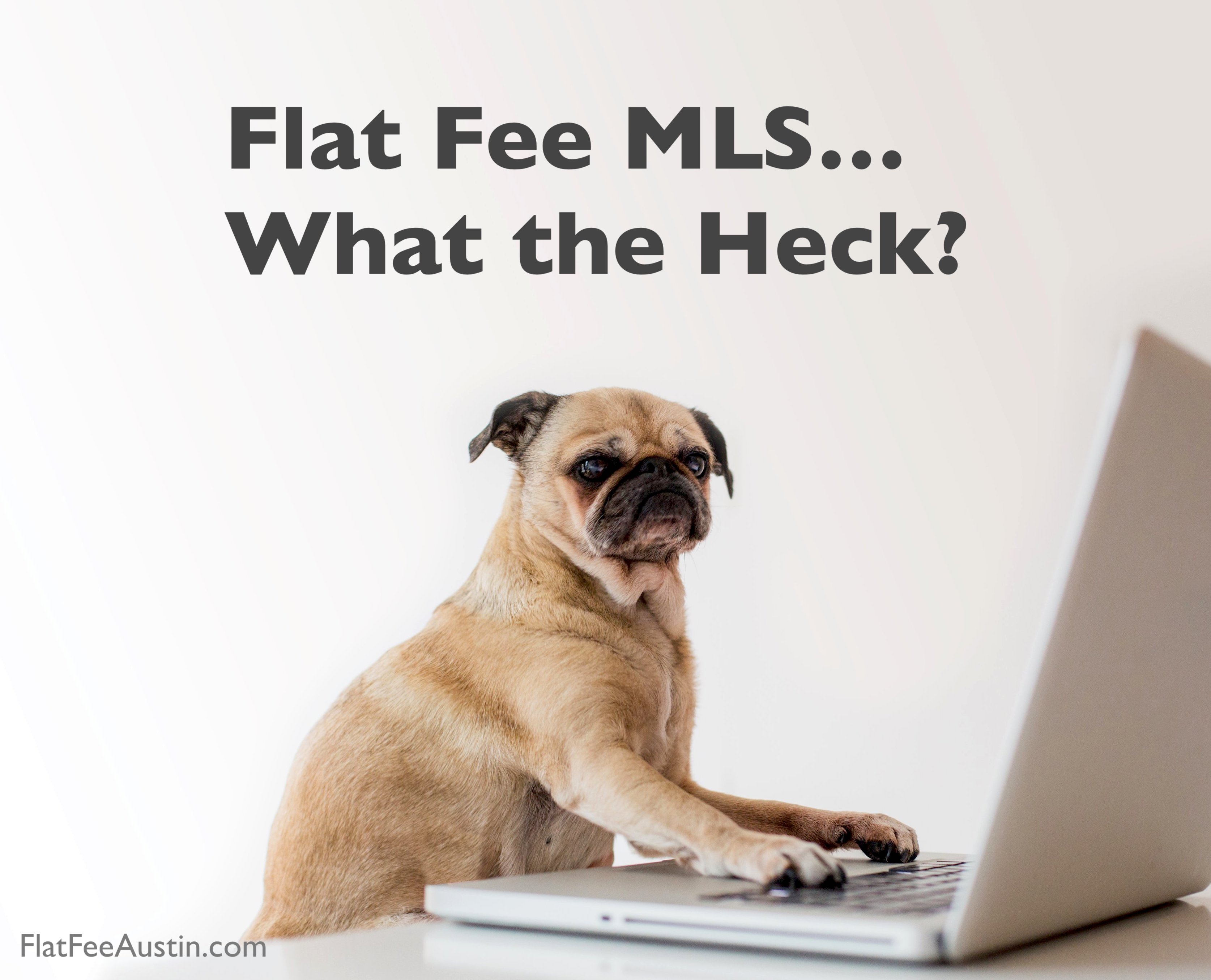 What the Heck Is Flat Fee MLS?