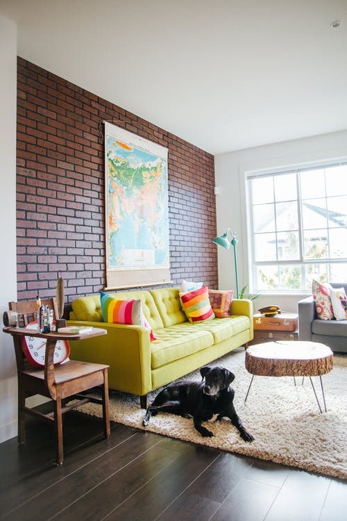 Here's Why You Shouldn't Include Your Pet in Your Home's Listing Photos