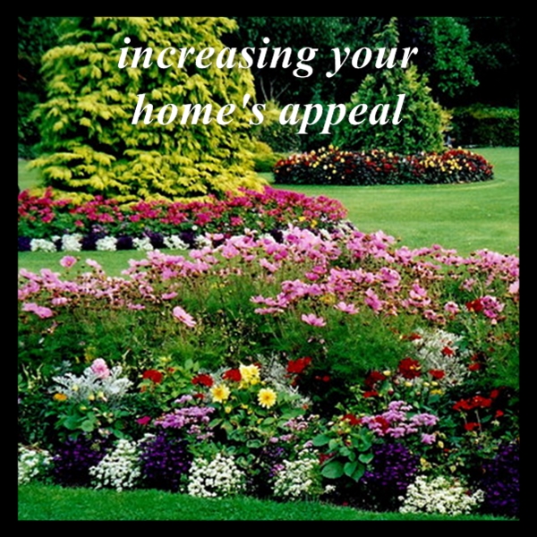 Increasing Your Home's Appeal