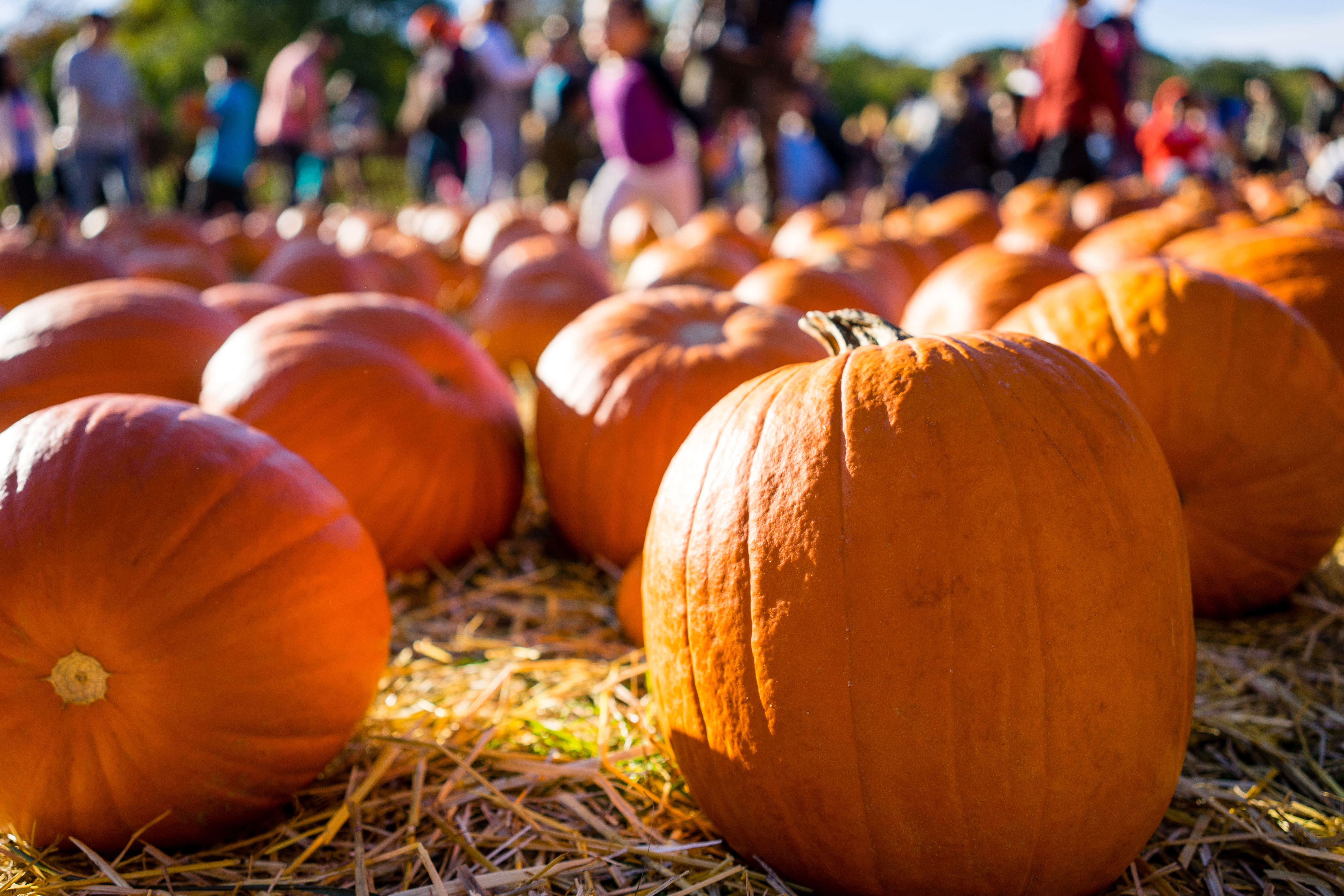 OC Calendar of Events - Oct 2017