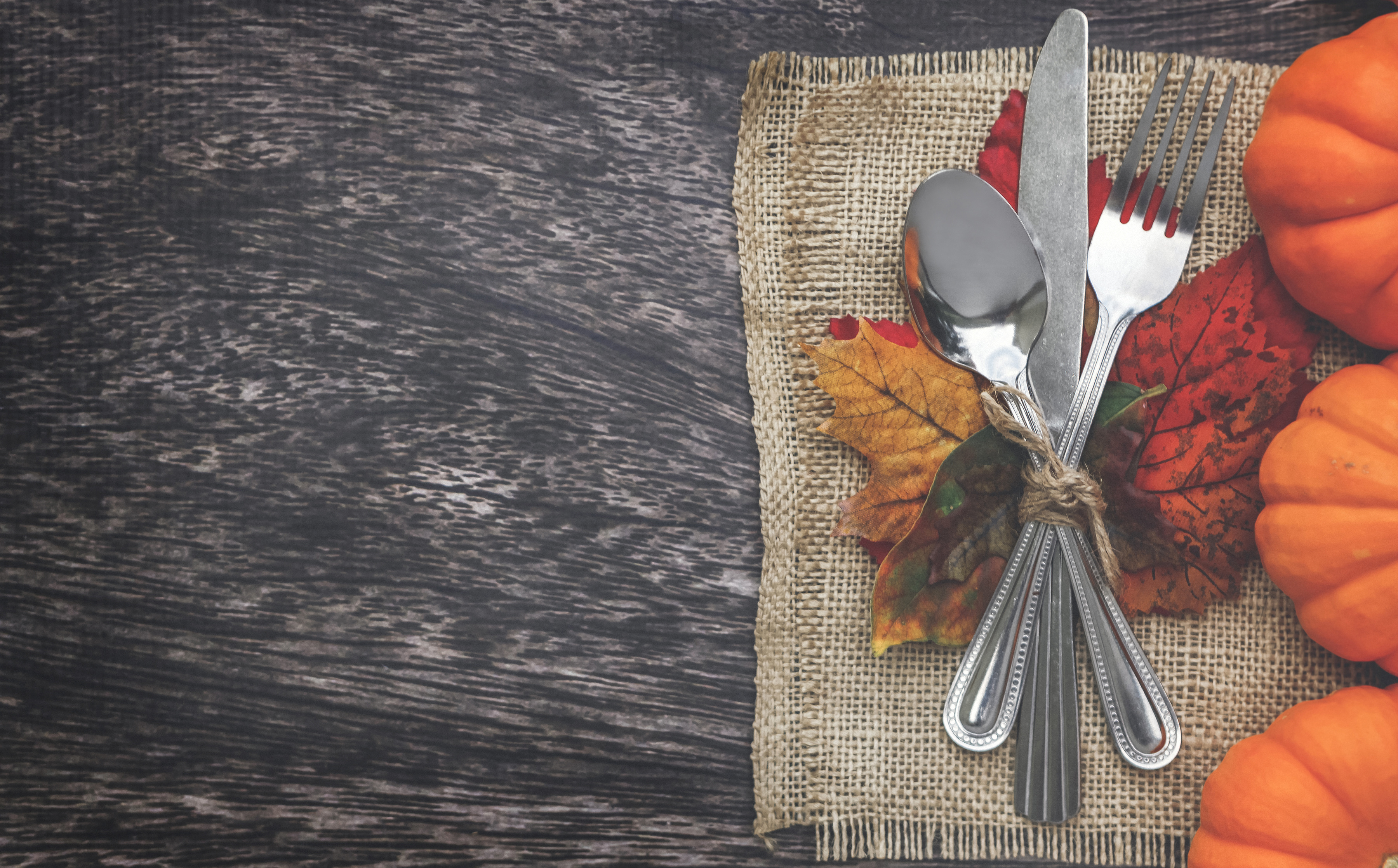 Happy Thanksgiving