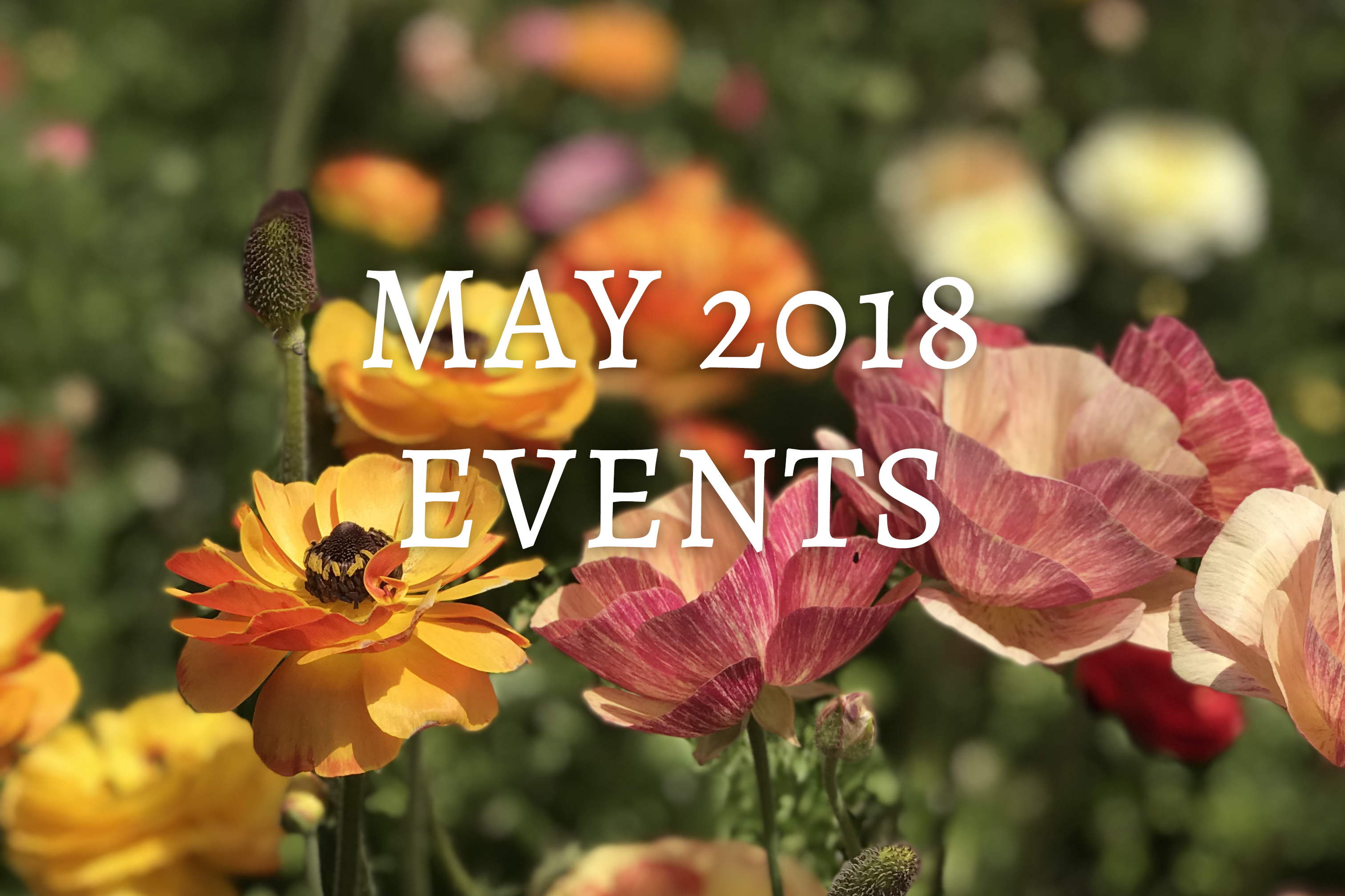 May Calendar