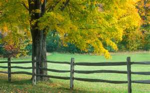Moving to the Country? Here some things you should know about buying rural land: