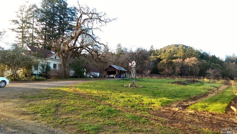 52 Acres in Healdsburg