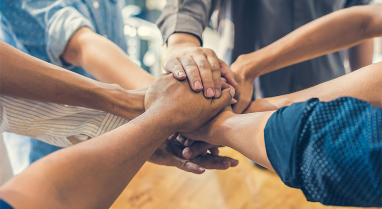 You Need a Professional on Your Team When Buying a Home