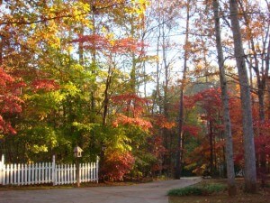Cherokee and North Fulton County Real Estate Report: Sale Prices Rise