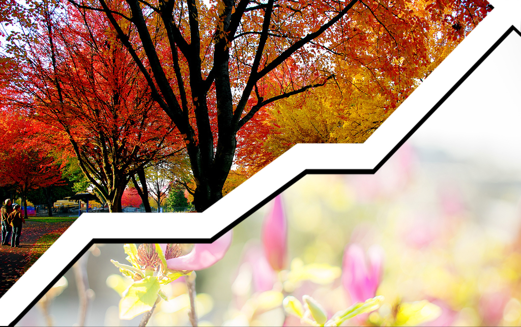 Sell Now or Wait for Fall?