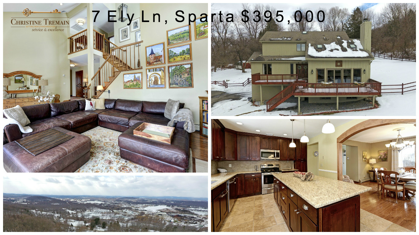 Gorgeous Move-in Ready Contemporary – 7 Ely Lane, Sparta NJ