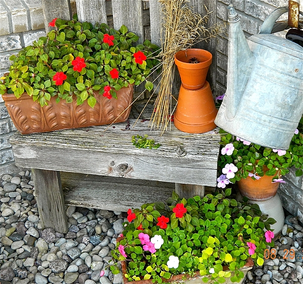 Easy ideas for your best garden