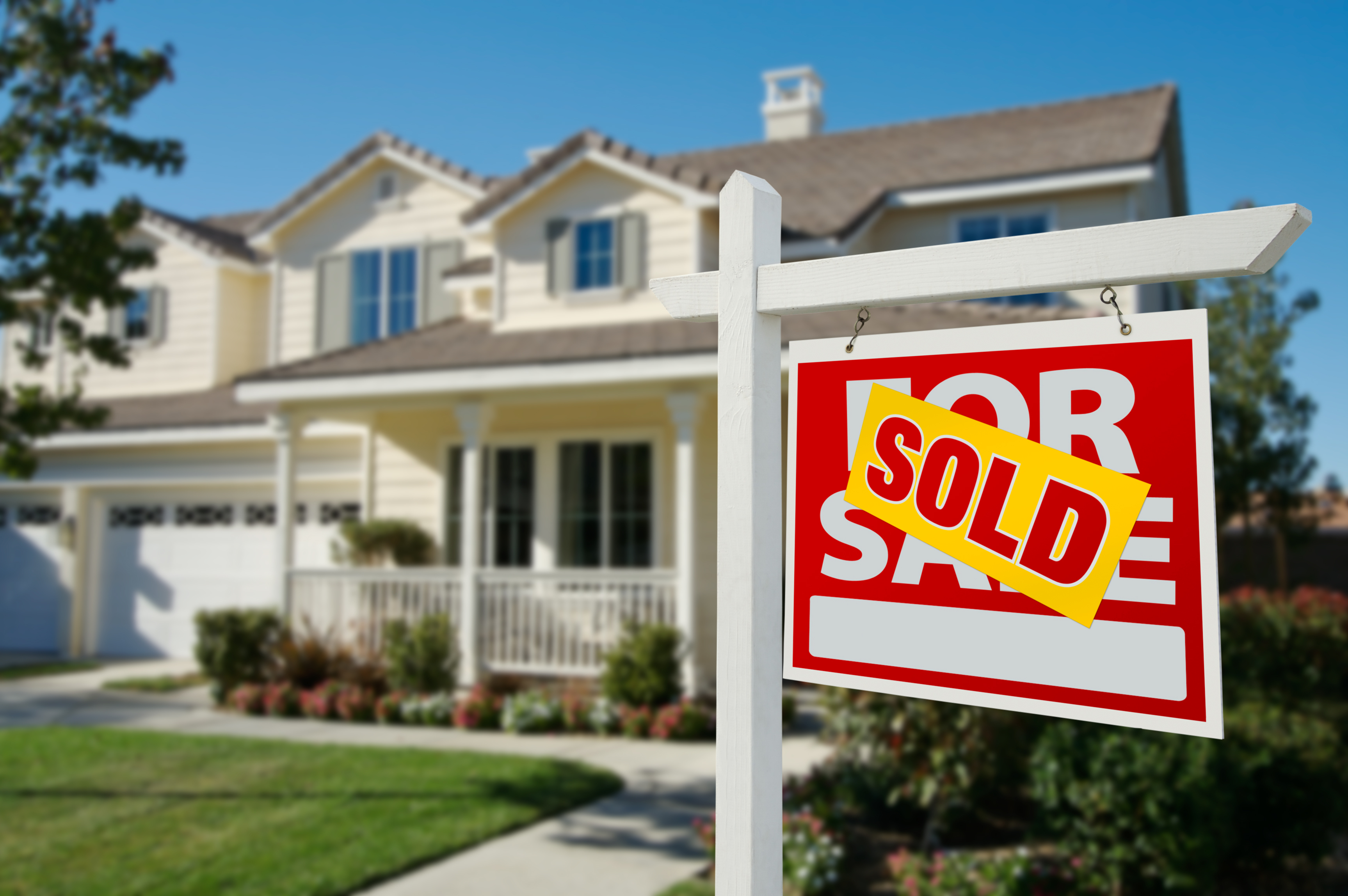 Making Your Dream A Reality