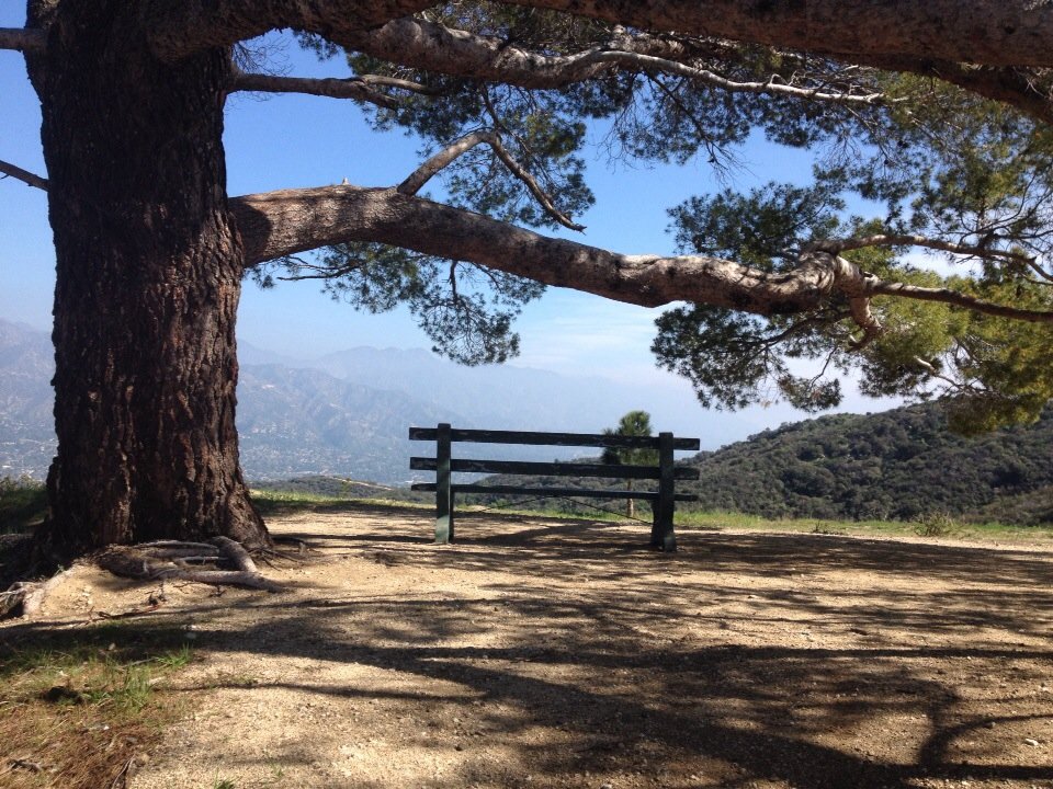 Quiet and charming this community has many natural features.