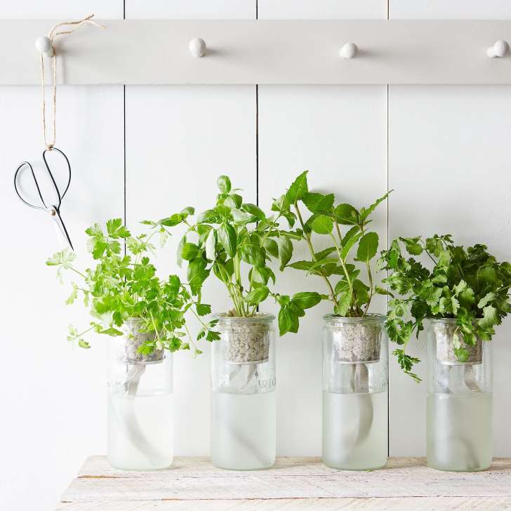 Spice up your kitchen with an easy window herb garden!