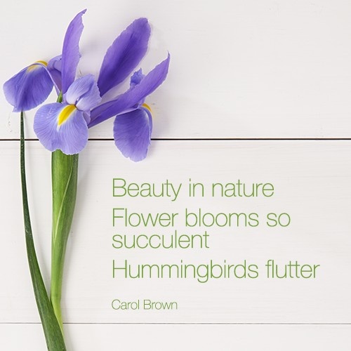 The Benefits of Having Flowers In Your Home