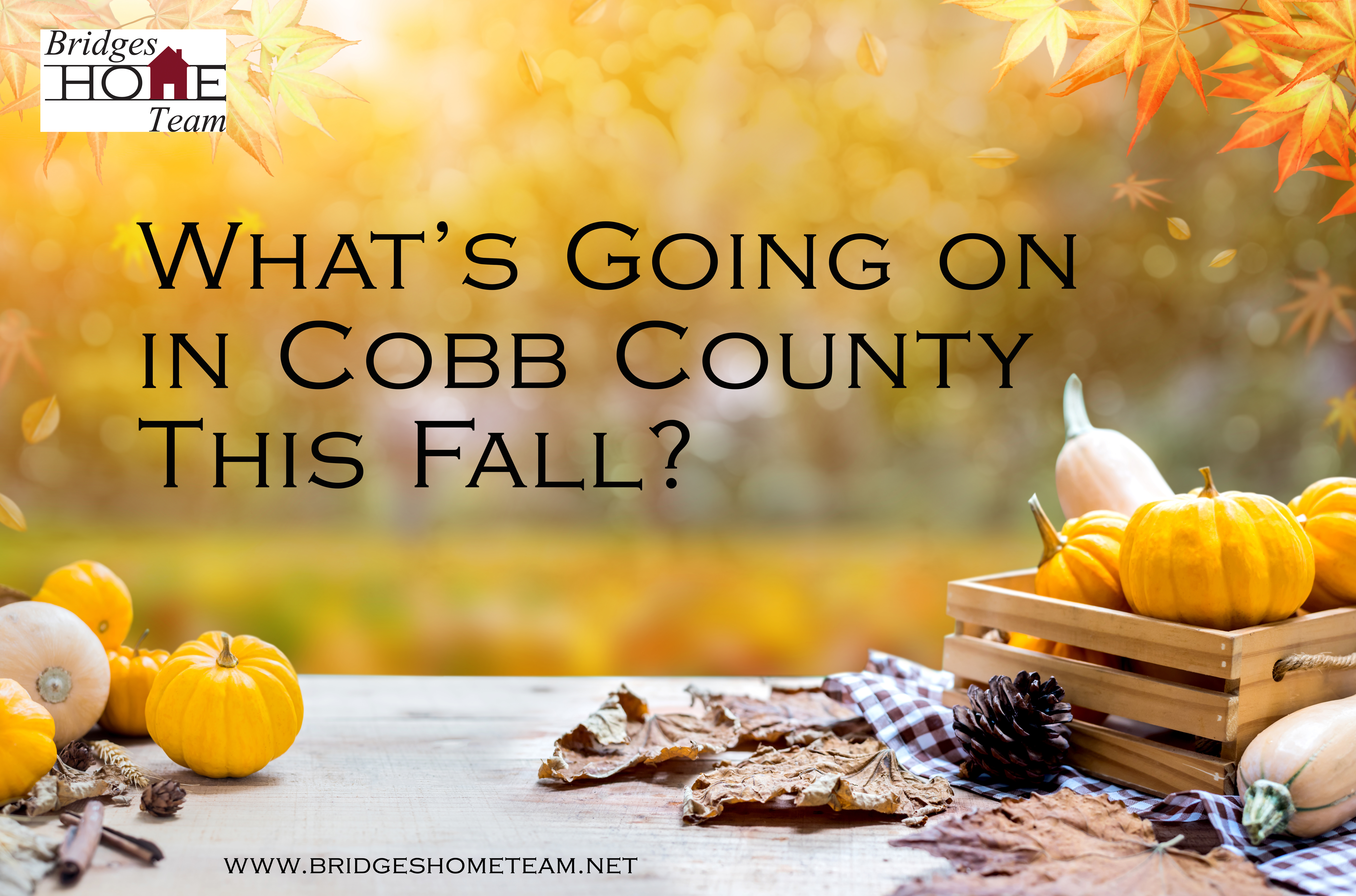 What's Going on in Cobb County This Fall?