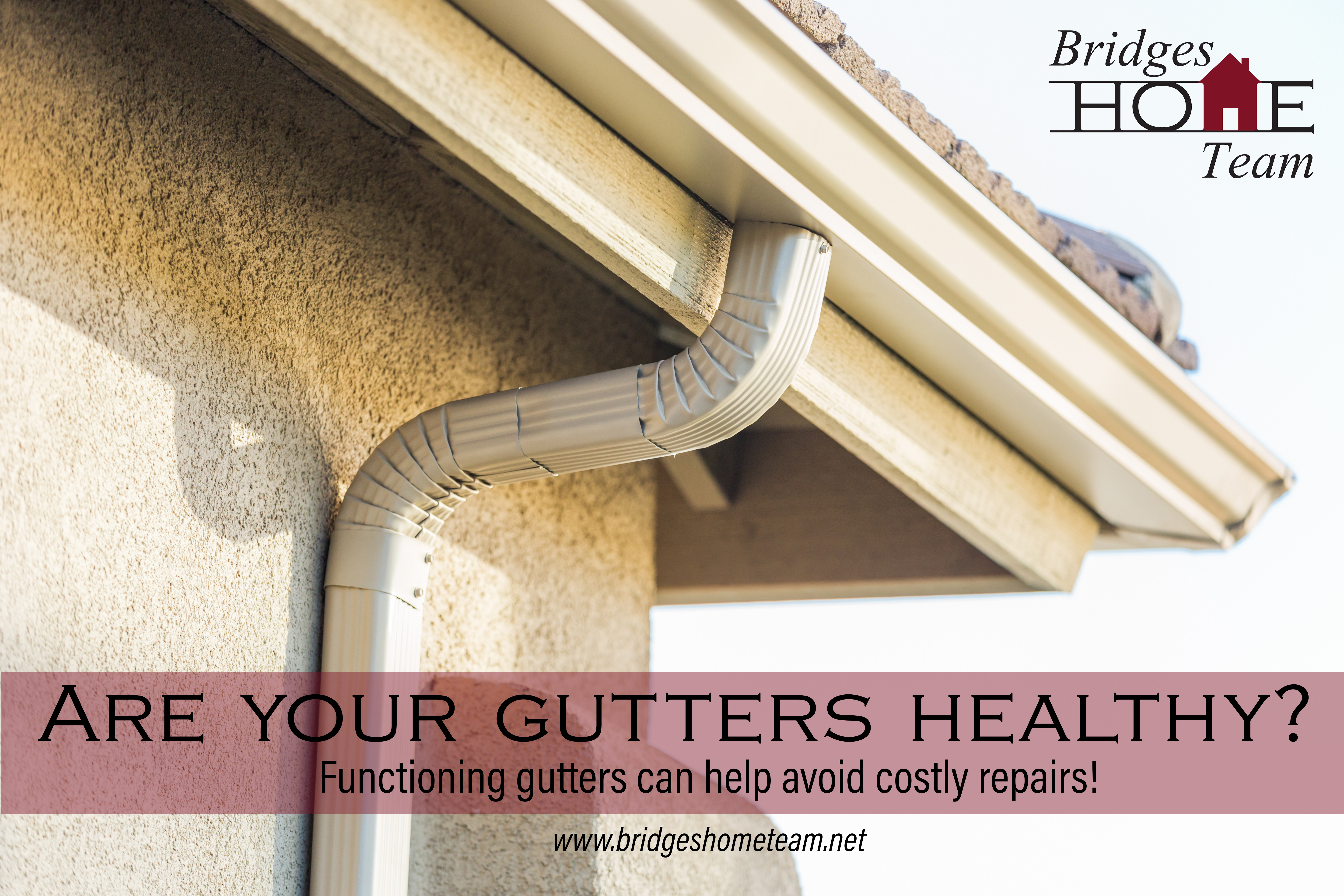 Are your gutters healthy?