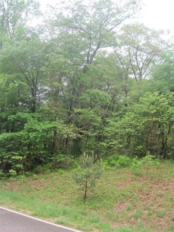 4.6 Acre Lot Near Lake Michigan