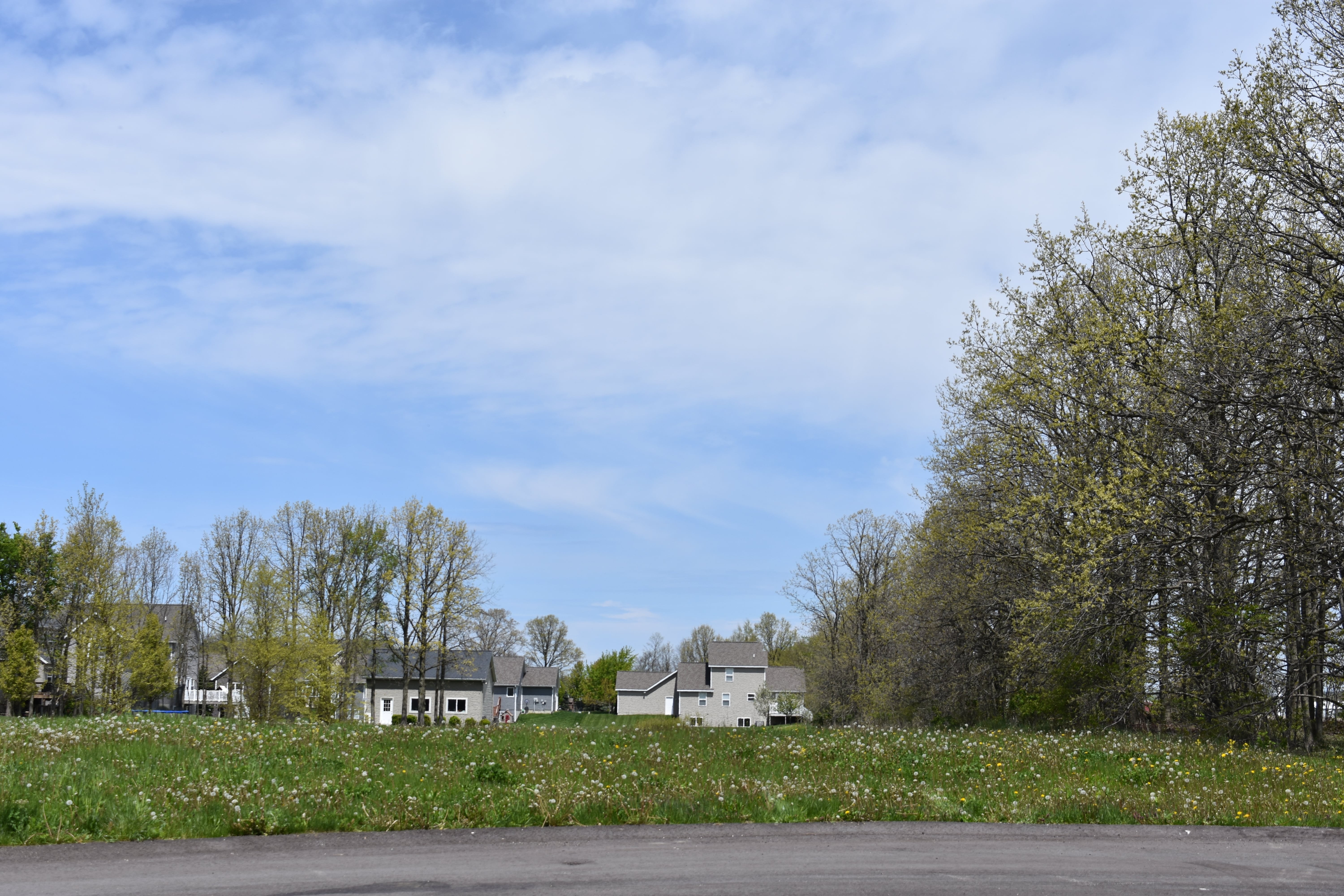 Lot in Esker Creek Neighborhood!
