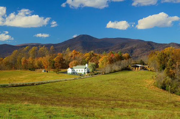 Homes for Sale in Amherst County