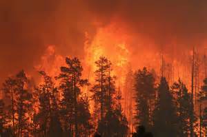 Welcome to the White Mountains. PLEASE be careful with fire.