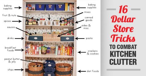 16 Clever Dollar Store Tricks To Combat Kitchen Clutter