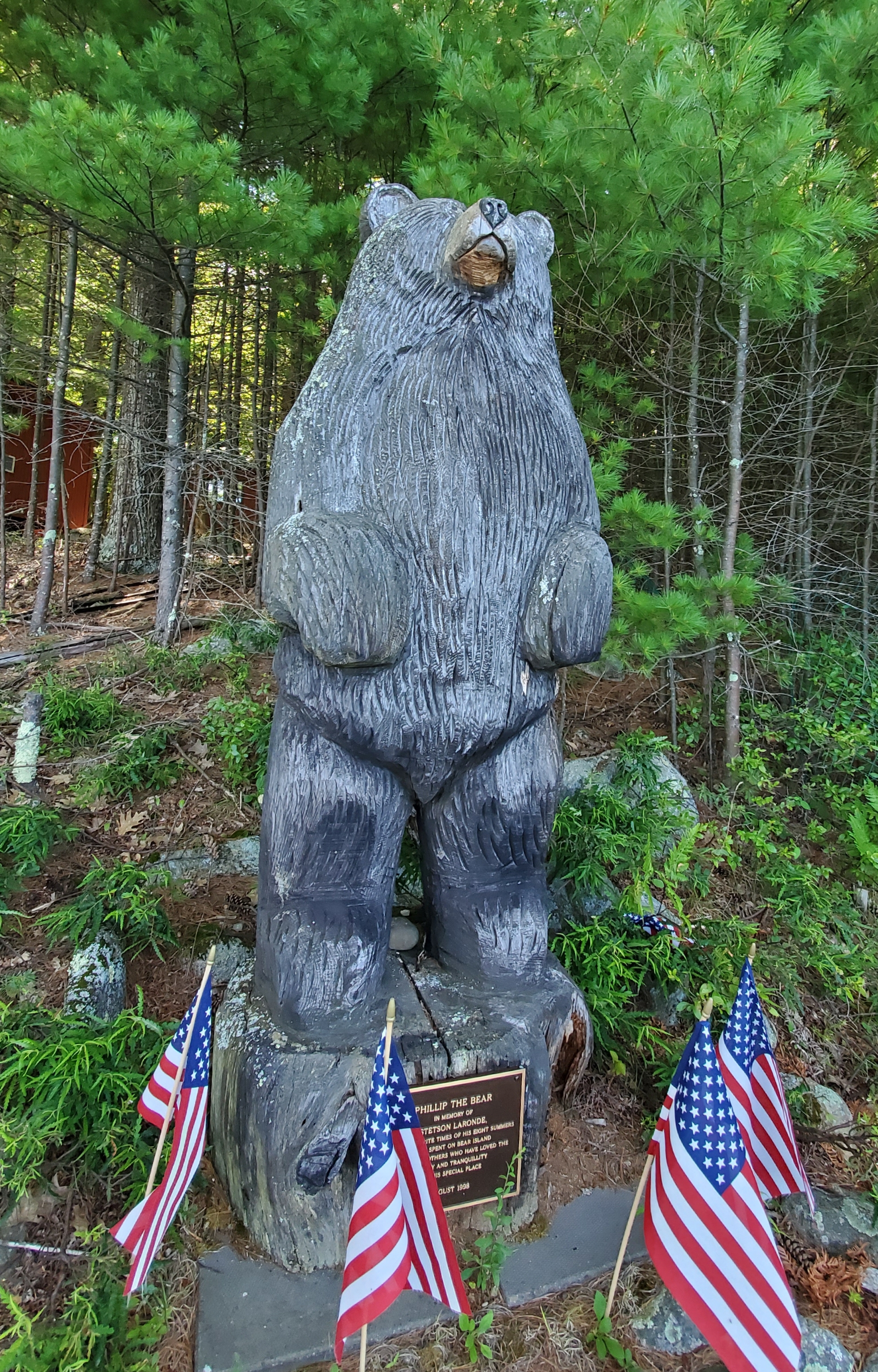 Phillip the Bear