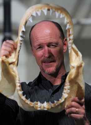 Discovery’s Shark Week To Feature Chris Lowe And The CSULB Shark Lab