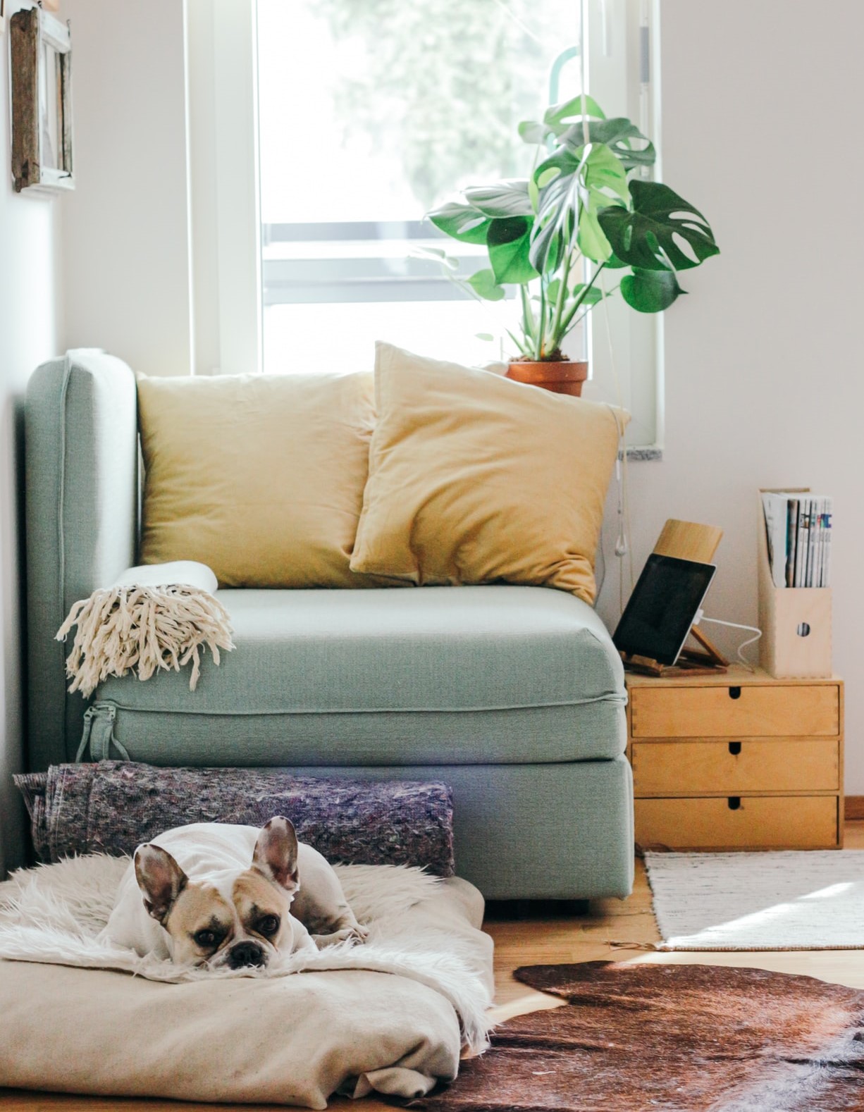 Should You Sell Or Rent Your House? 10 Questions To Ask Yourself