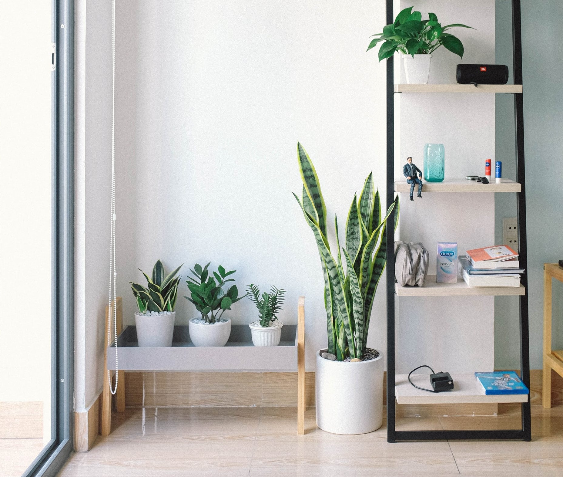 Going Green: 7 Energy-Saving Tricks