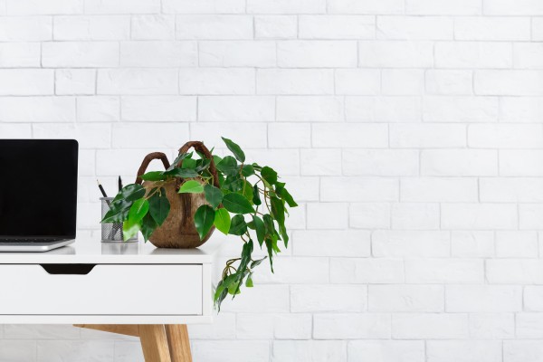 How to Create the Home Office of Your Dreams