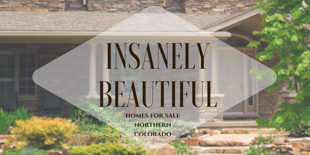 Homes For Sale That Capture The View