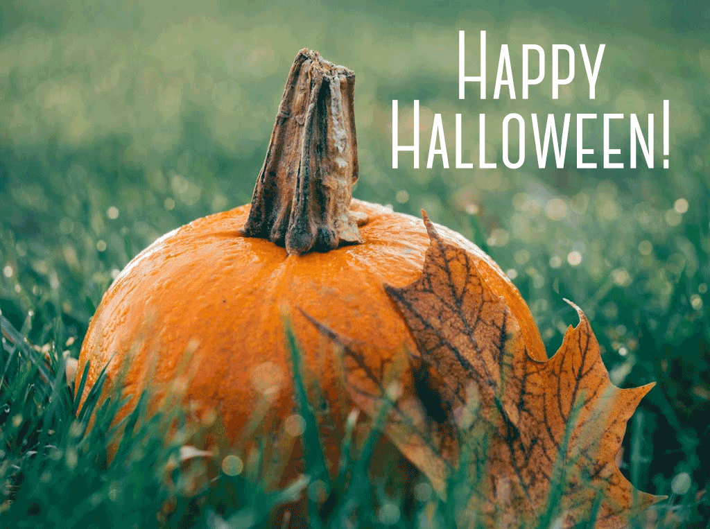 Annual Pumpkin Giveaway!