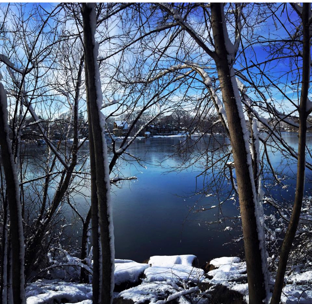 Moments in Melrose: Peaceful Pond
