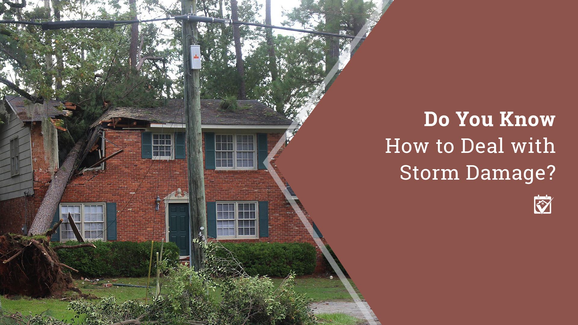 Do You Know How to Deal with Storm Damage?
