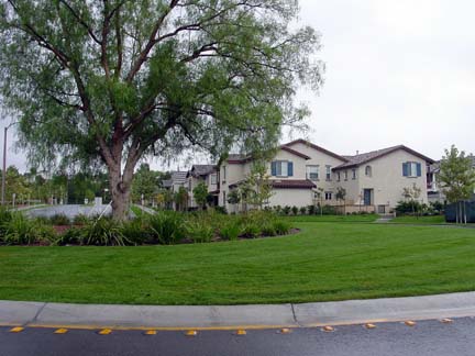 To Rent or Buy in Santa Clarita?