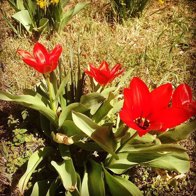 Top 7 Tips for Selling Your Home This Spring
