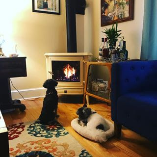 Why I am Thankful for My Home