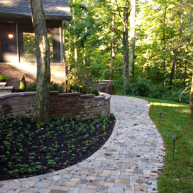 Backyard Transformation