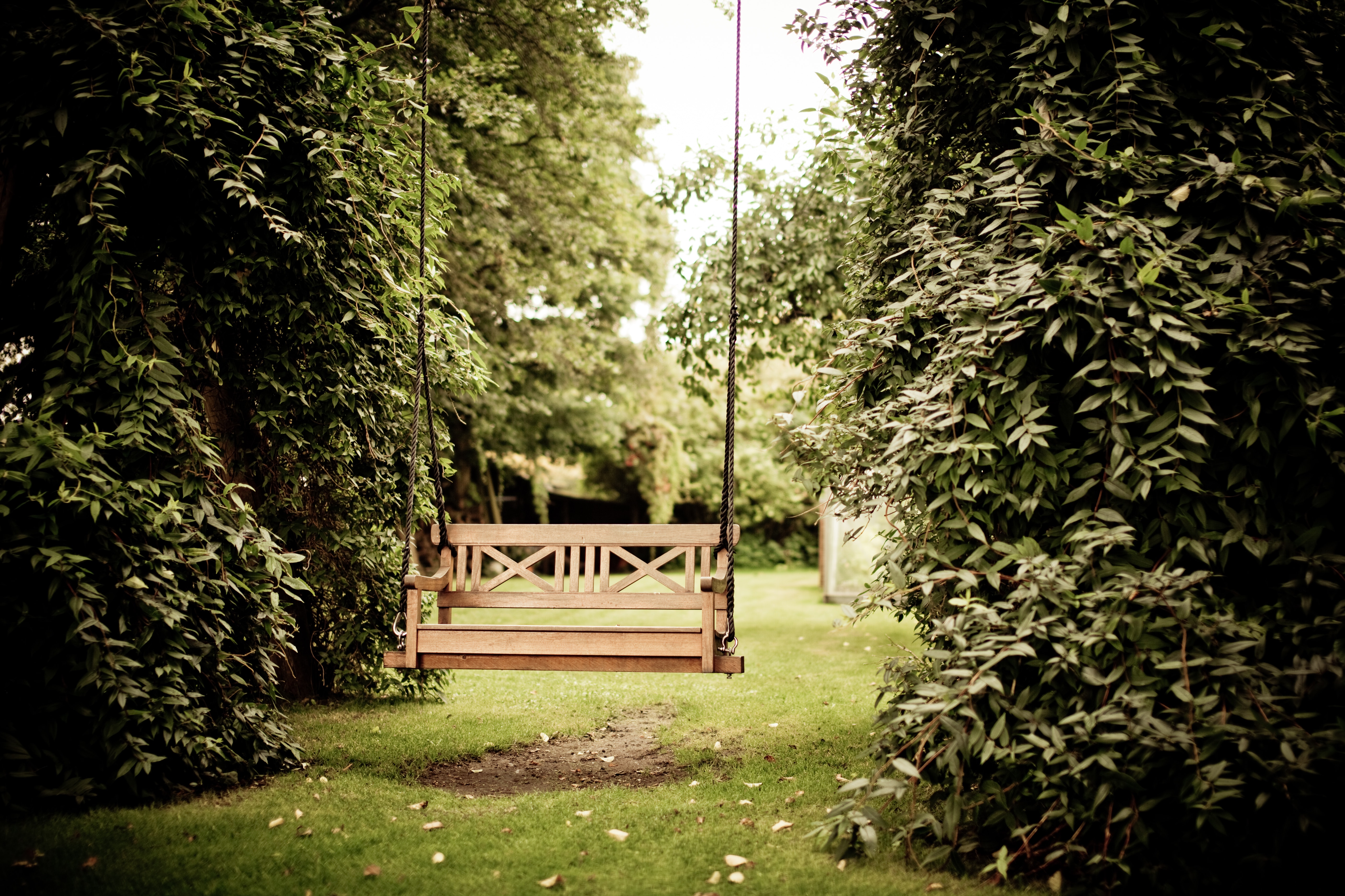 Your guide to year-round yard care