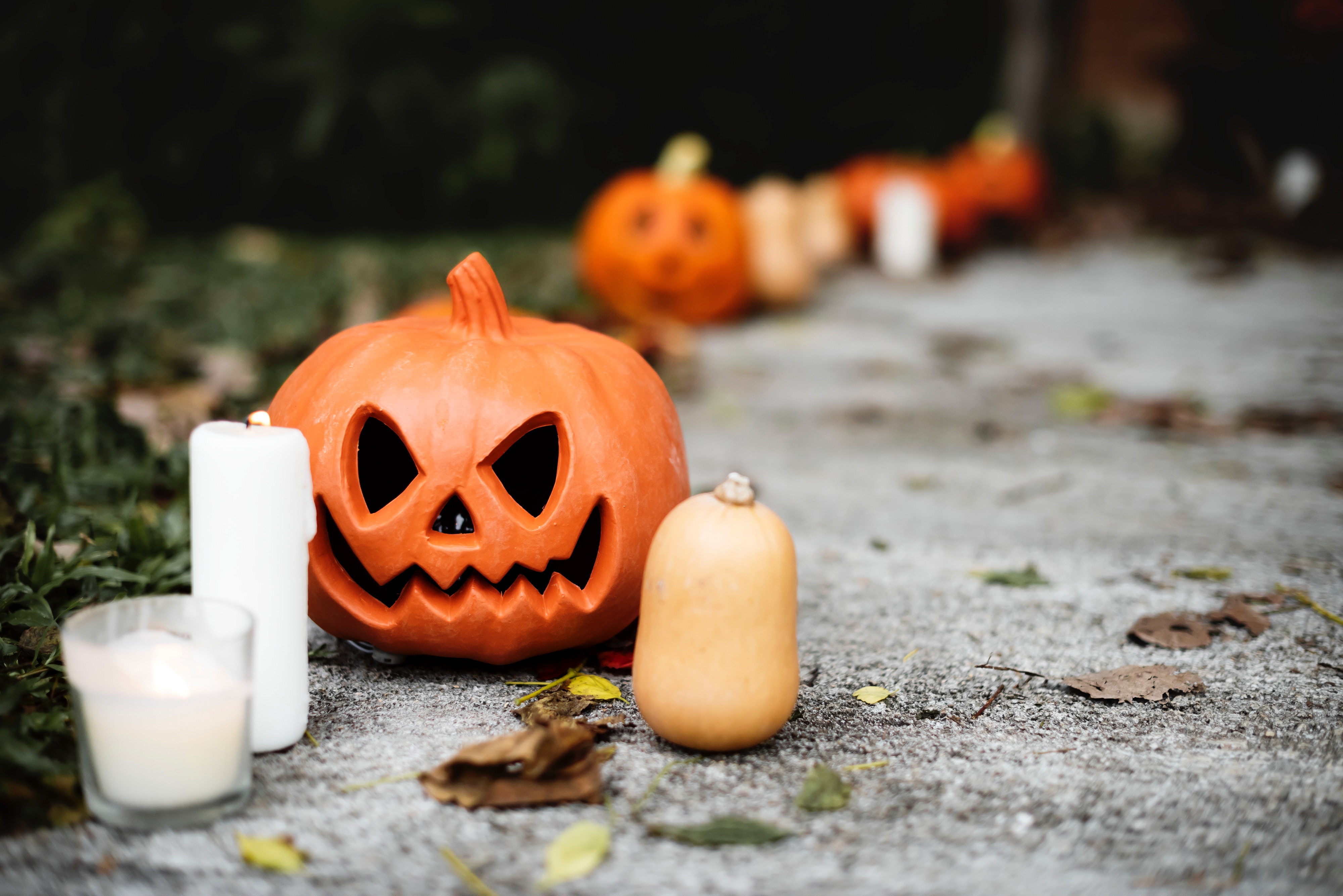 A Few Things to Do In The Lou - October 2018