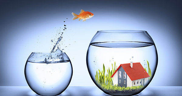 Thinking About Renting?